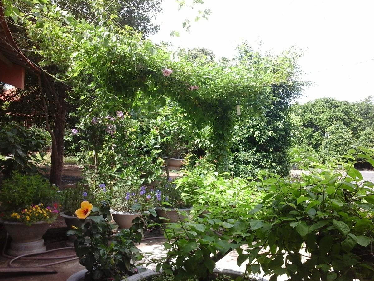 Long Chau Resort Xuyên Mộc Extérieur photo