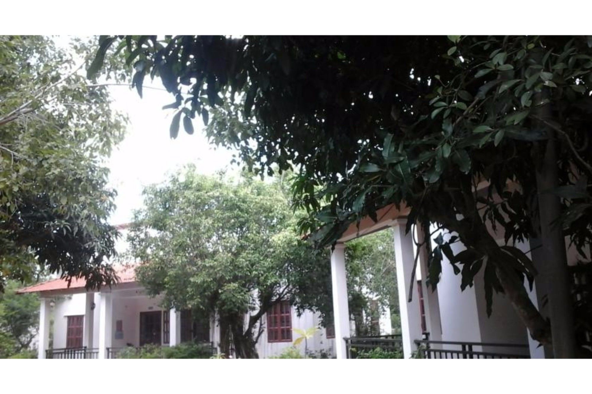 Long Chau Resort Xuyên Mộc Extérieur photo