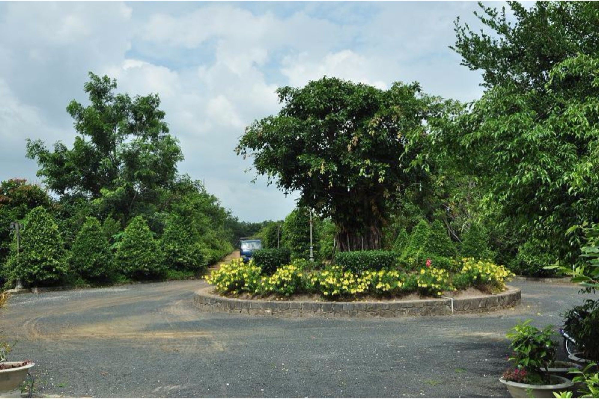 Long Chau Resort Xuyên Mộc Extérieur photo